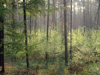 wandelroute bruin natuurpoort van loon
