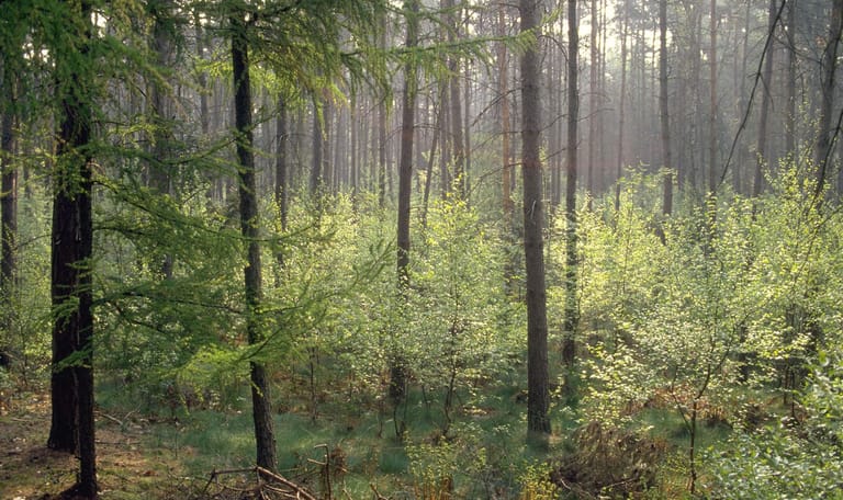 wandelroute bruin natuurpoort van loon