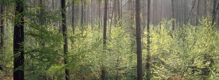 wandelroute bruin natuurpoort van loon