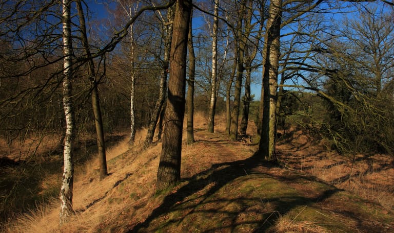 harrevelder schans