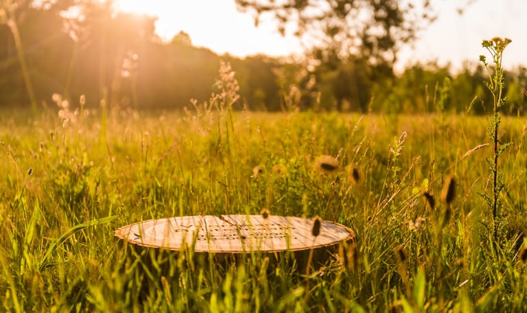 Natuurbegraafplaats Heidepol ochtendzon