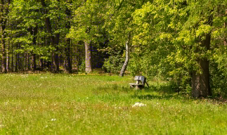 Natuurbegraven Heidepol bosrand