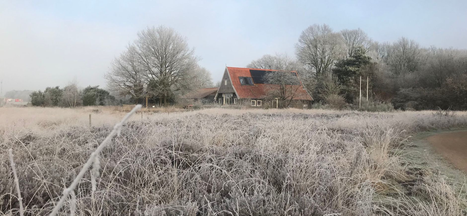 Buurserzand