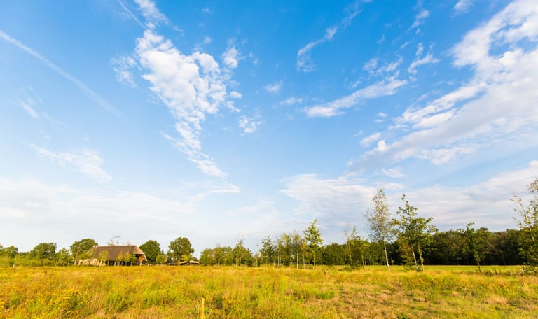 Natuurbegraven Maashorst