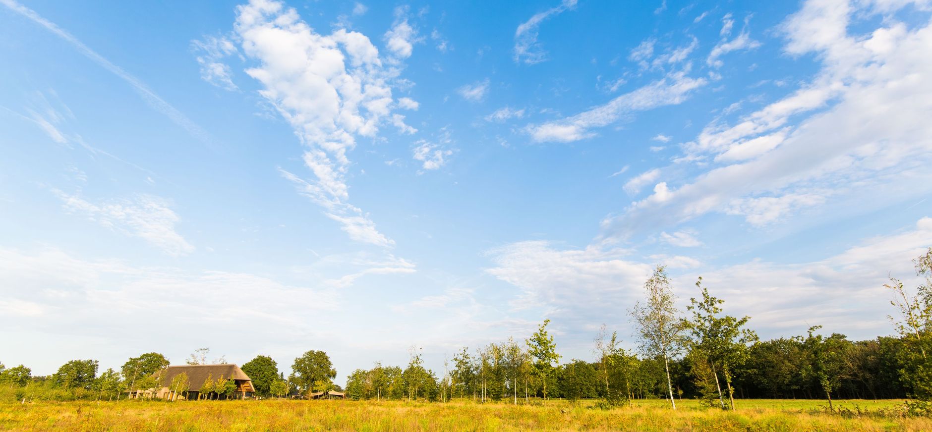 Natuurbegraven Maashorst