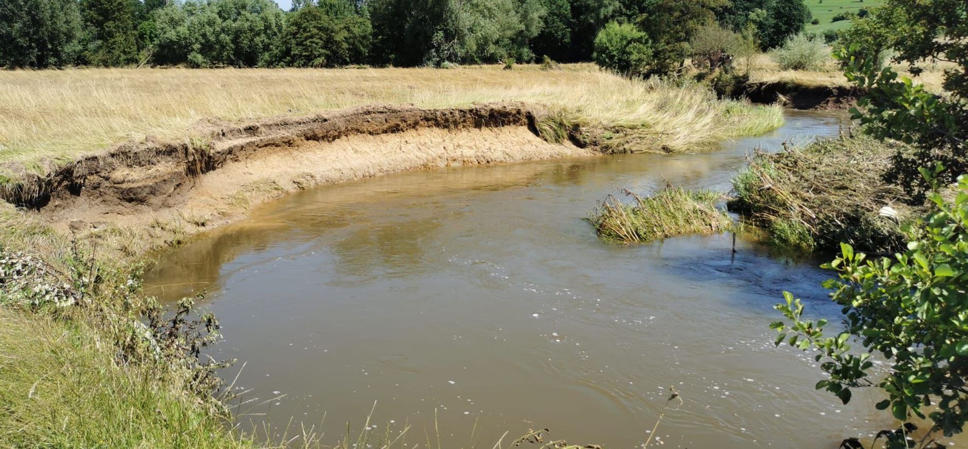 Activiteiten gulle gevers