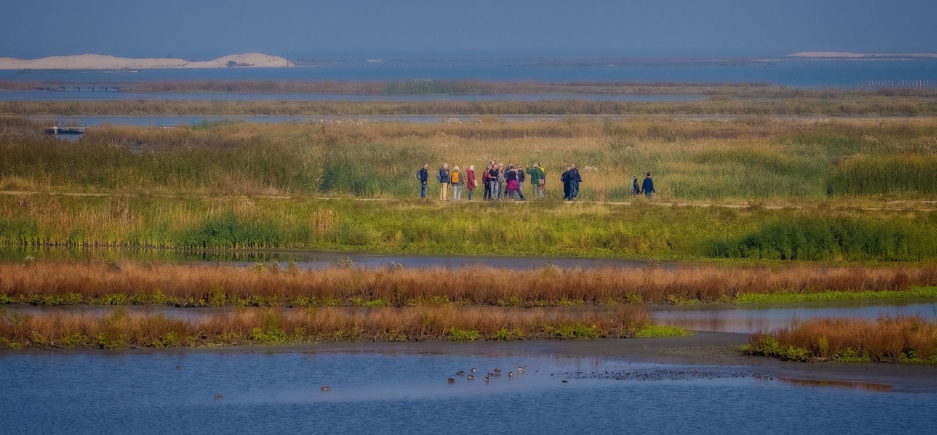 vacature vrijwilliger Marker Wadden excursieleider