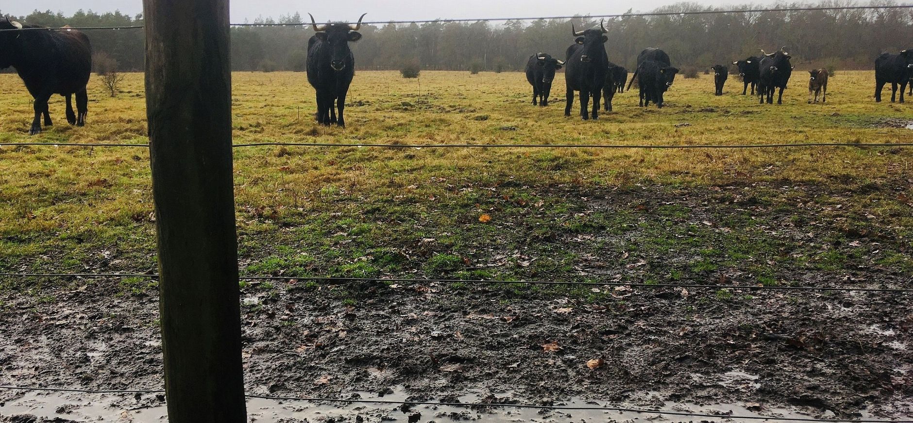 Nieuw raster tussen terreinen Natuurmonumenten en gemeente Ede