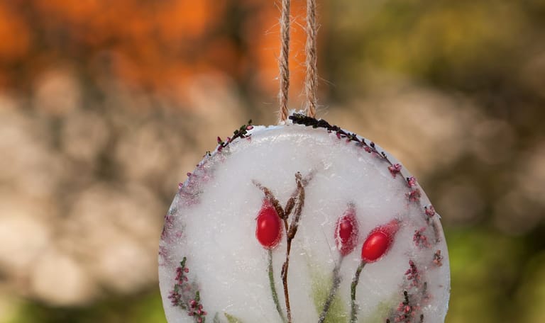 IJskunst maken - OERRR