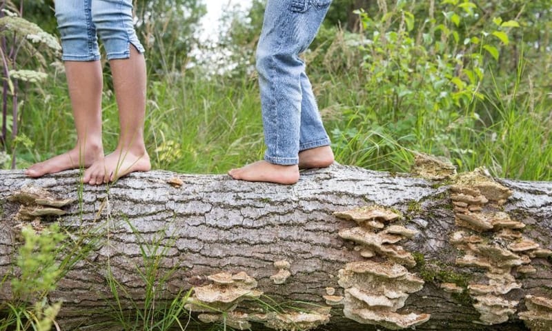 speelnatuur slotplaats