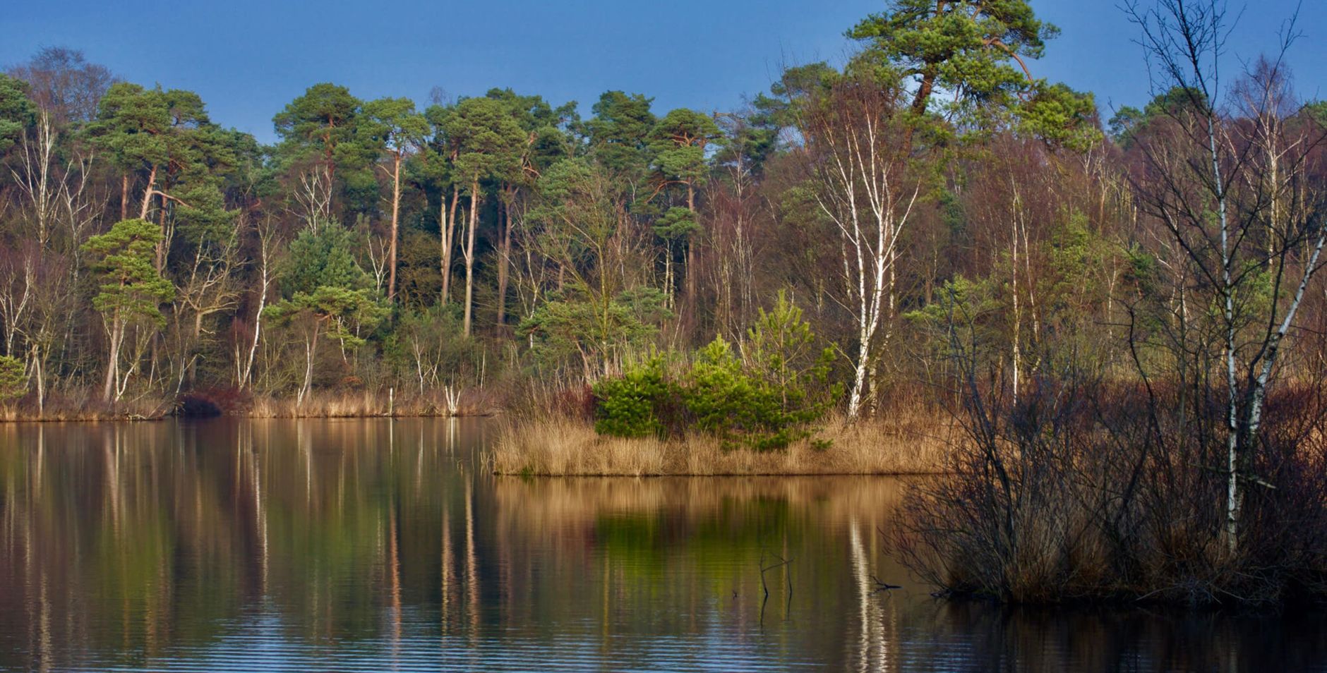 190 doneer - nm - gulle gevers achtergrond