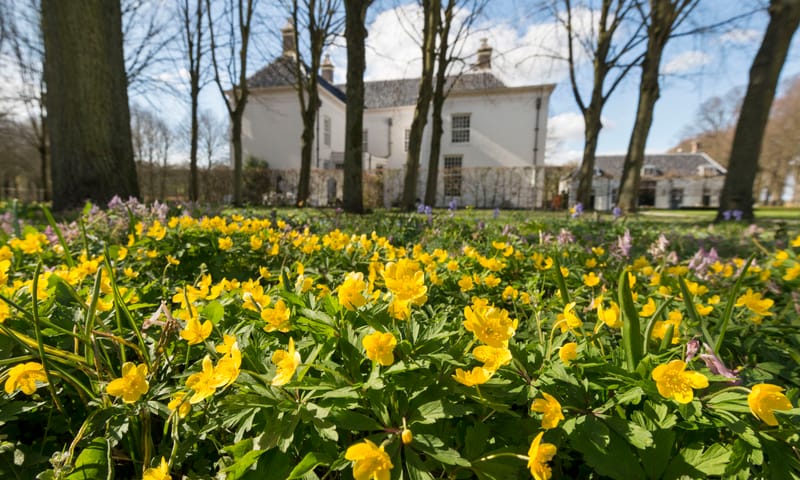 Voorjaarsbloeiers bij Beeckestein