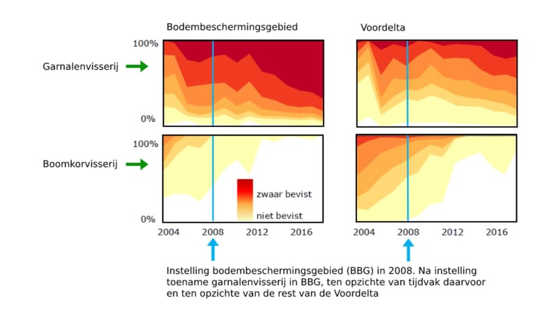 Toename garnalenvisserij