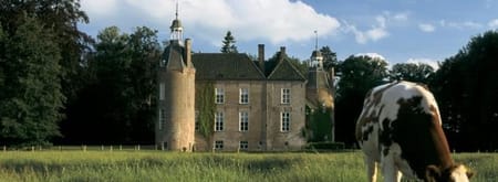 Kasteelwei achter kasteel Hackfort