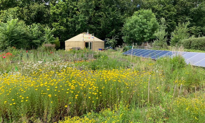 Stadsboerin Rotterdam