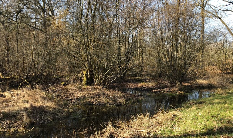 Laagbroek