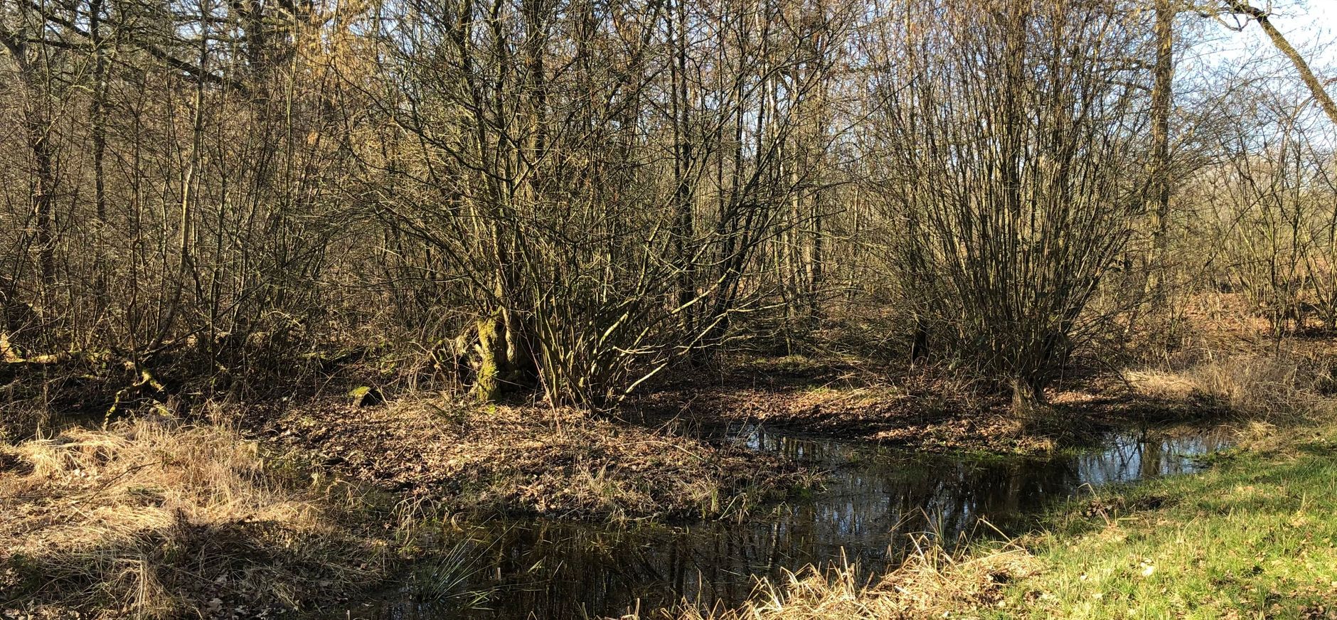 Laagbroek