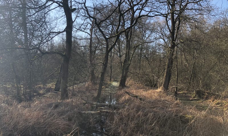 Rabattensyteem Laagbroek
