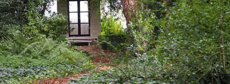 Theehuis
