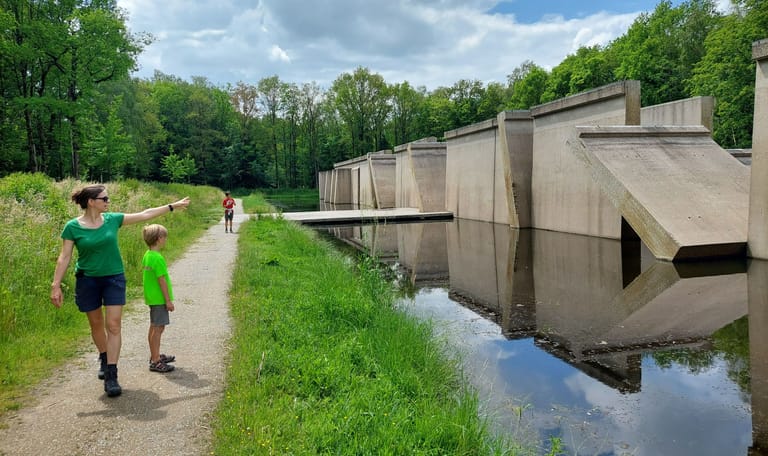 Waterloopbos Deltawerk