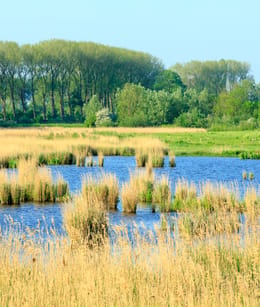 Zwaakse Weel