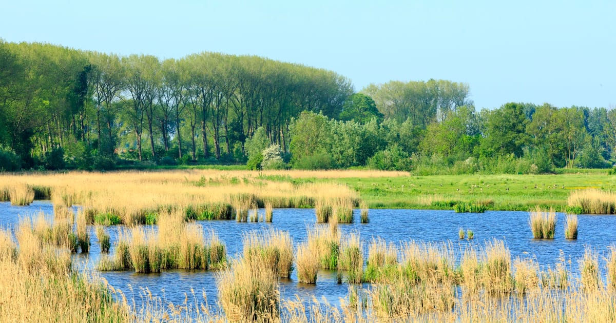 Infopunt Zwaakse Weel