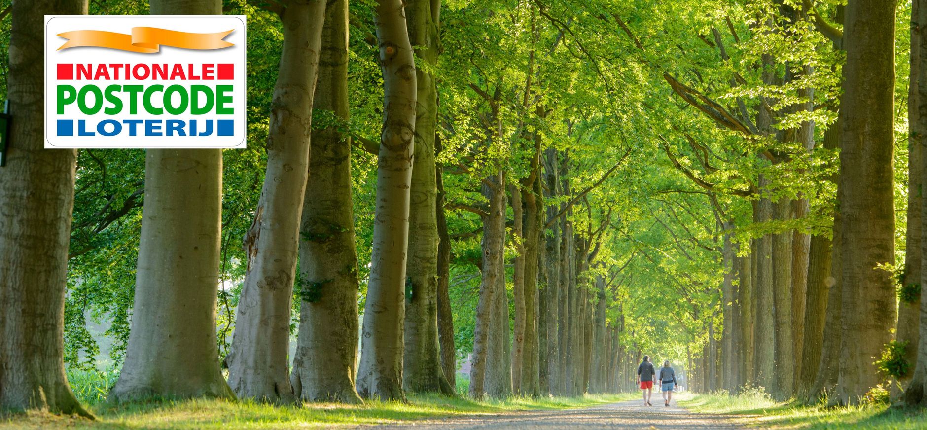 Beukenlaan met logo NPL