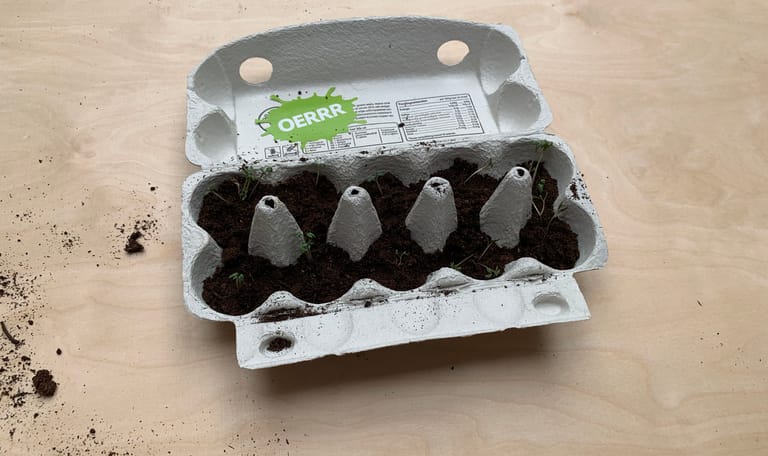 Maak een mini moestuin
