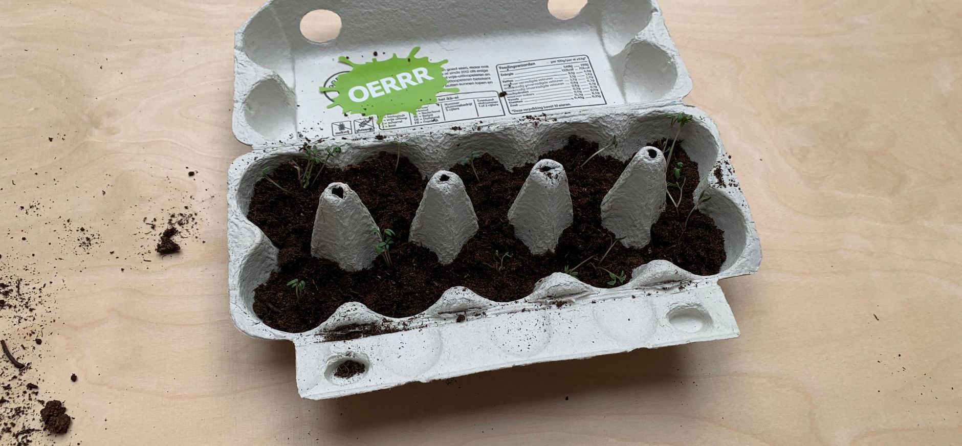 Maak een mini moestuin