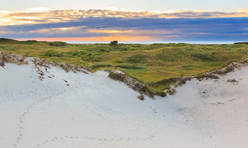 Duinen Schiermonnikoog