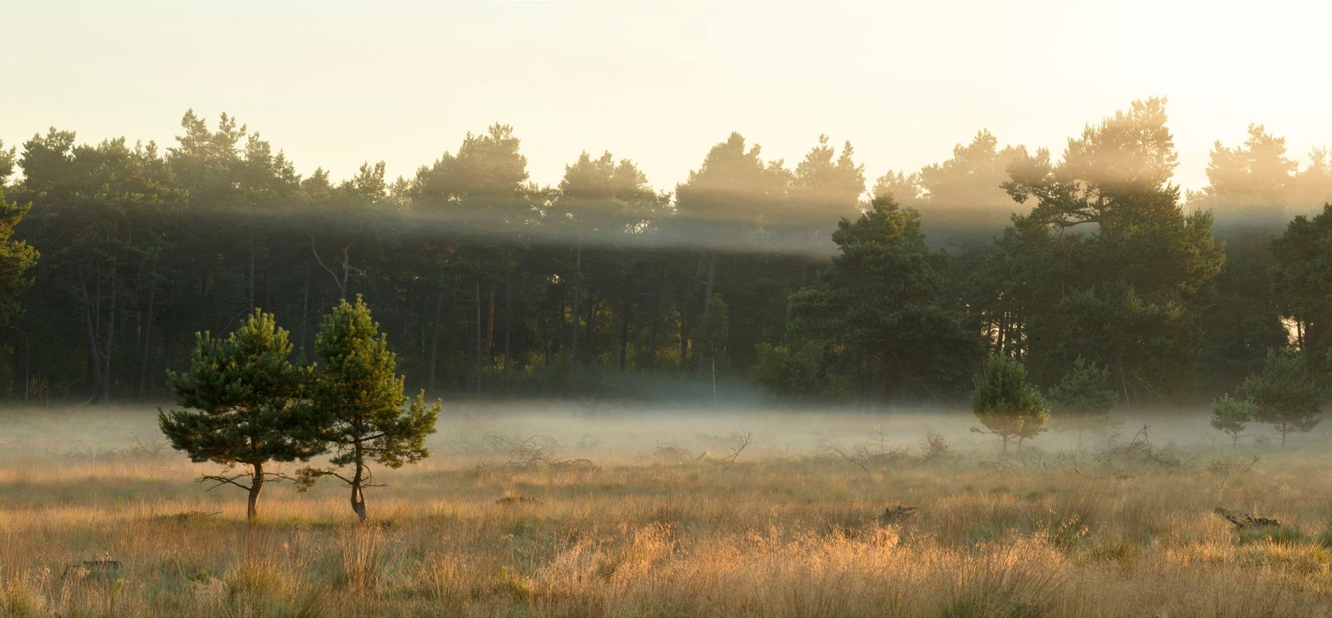Sfeervol Grote Veld