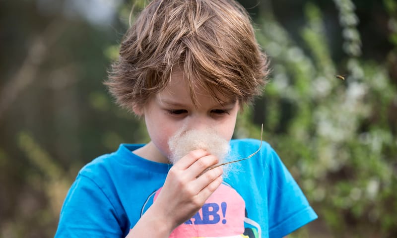 Ruiken aan schapenvacht