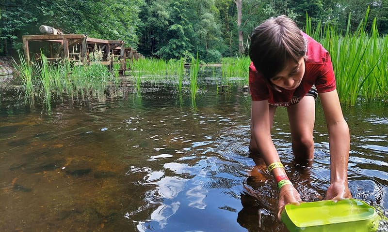 Spelen in het Waterloopbos