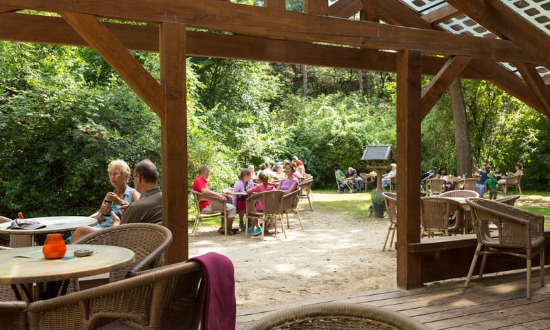 Theehuys Anserdennen