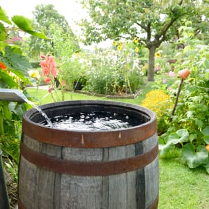 Regenton in tuin