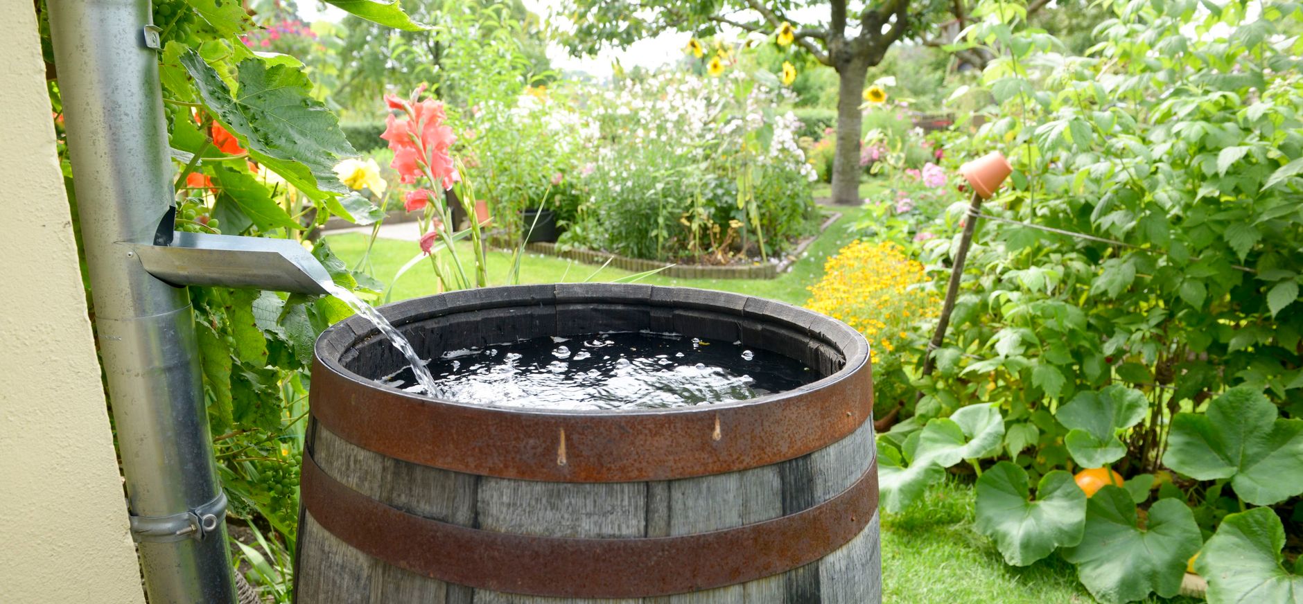 Regenton in tuin