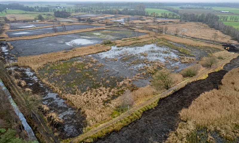 vogelvlucht liskes