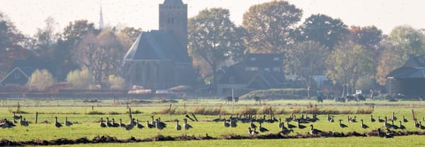 Startpunt met uitzicht op kerk Eemnes