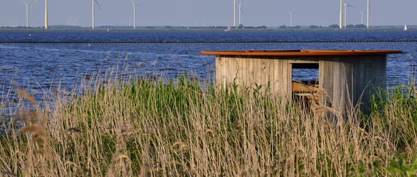 Vogelkijkhut