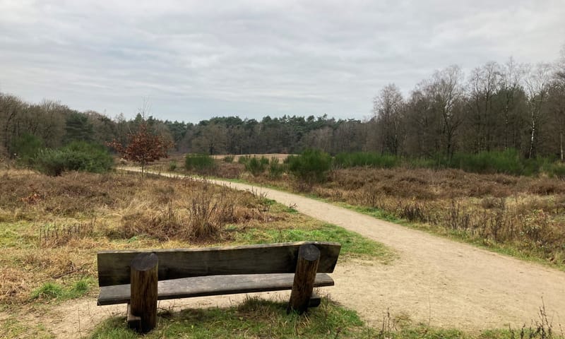 Natuurbankje op uitkijkpunt in gebied Natuurbankje op uitkijkpunt in gebied