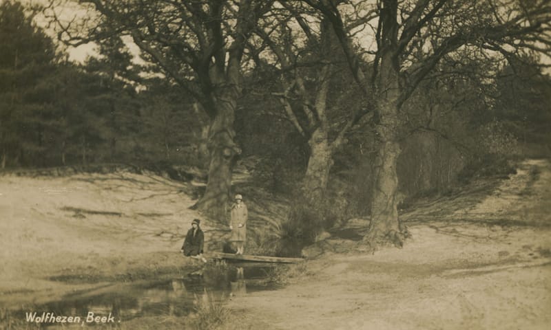 Bruggetje bij Wodanseiken, vlakbij Kousenhuisje