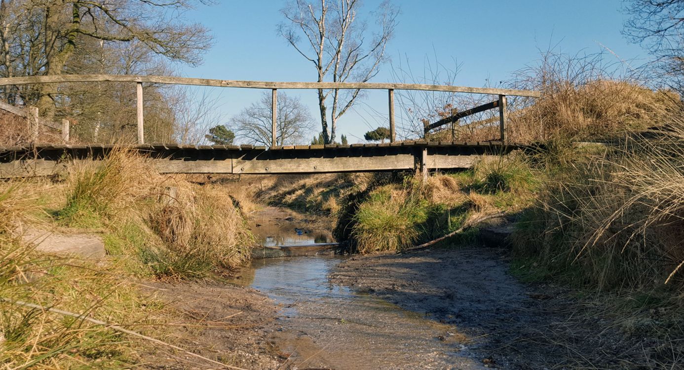 Verdroging Heelsums beekdal Wolfheze