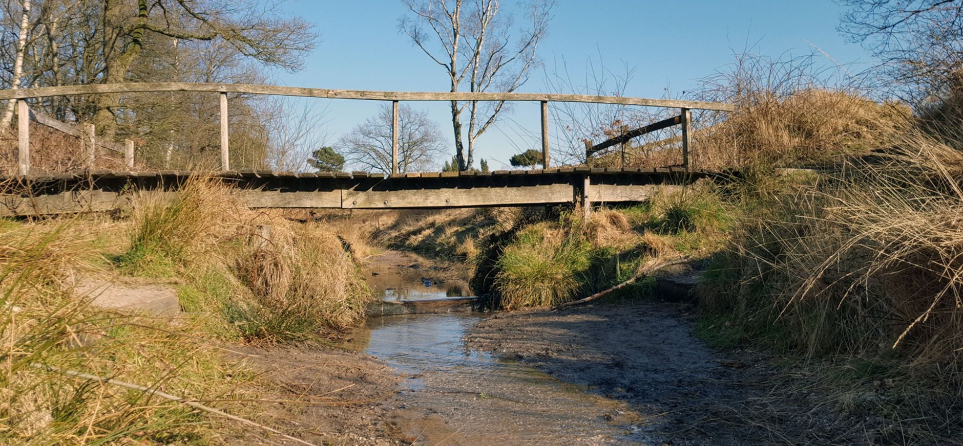 Verdroging Heelsums beekdal Wolfheze