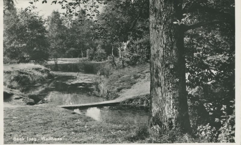 Heelsumse beek op Laag Wolfheze