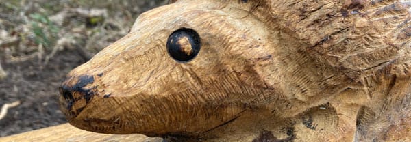 Egel