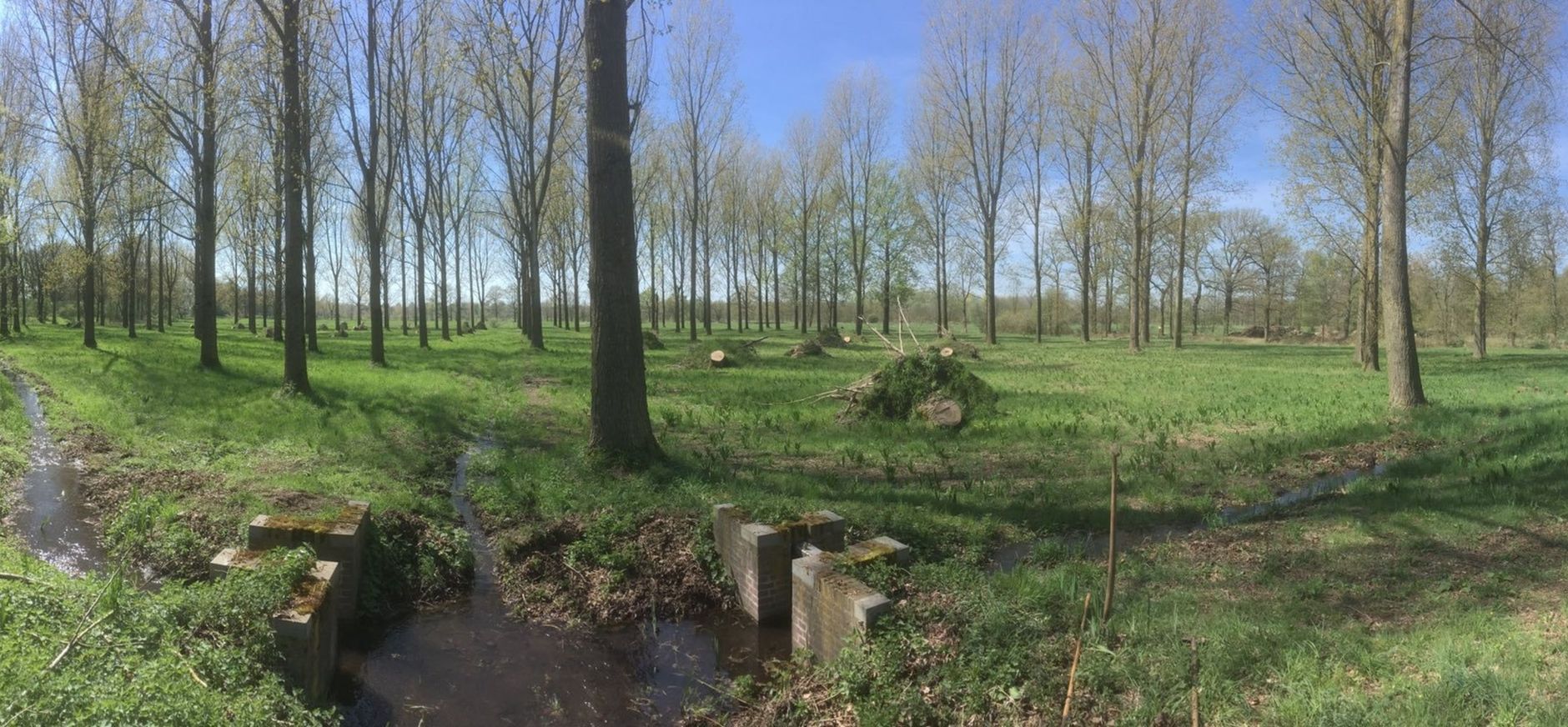 vloeiweiden de plateaux