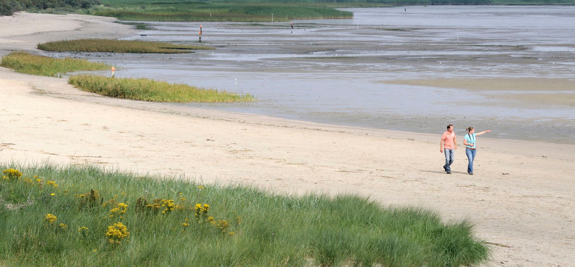 Zuid-Holland