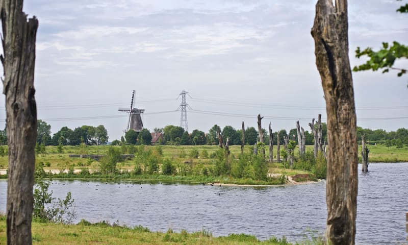 Molenplas met zicht op molen 