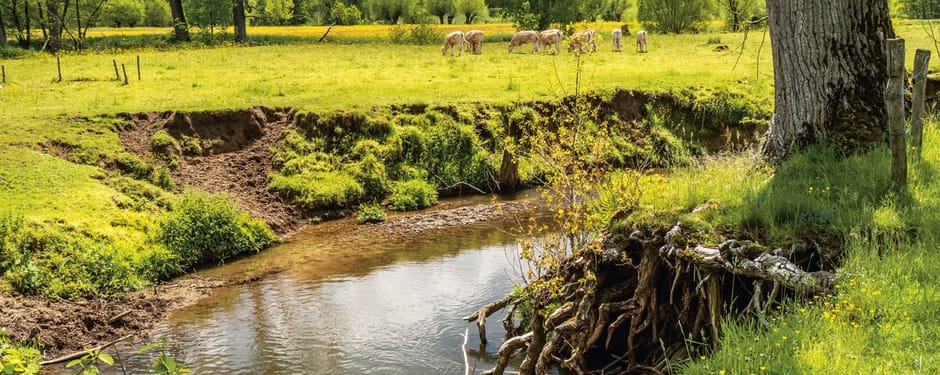klimaatexcursie in het Geuldal