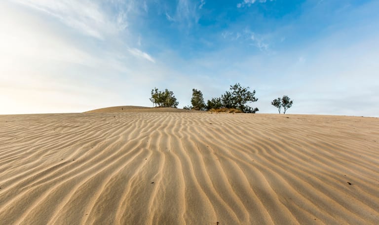loonse en drunense duinen
